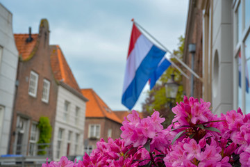 Fototapeta na wymiar Traditional birthday celebration of King of the Netherlands Willem-Alexander, King's Day national holiday on April 27, Dutch flag and spring blossom of pink Rhododendron plant