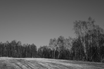 Winter rural landscape with trees and busches covered by snow