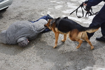 Dogged police officer catches offender