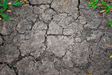 Top view dry grey soil with cracked and some green glass.