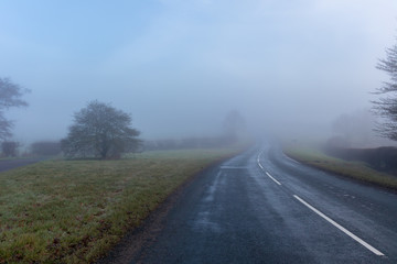 Misty road leading to anywhere