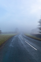 Misty road leading to anywhere