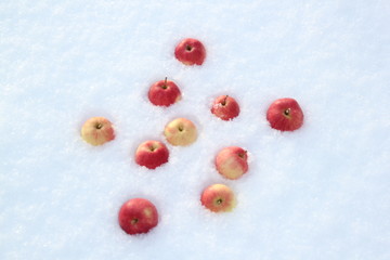 Red apples on snow