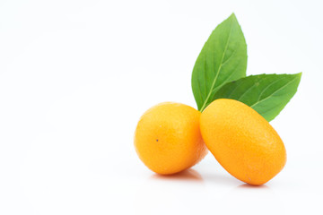 Ripe kumquats on white background