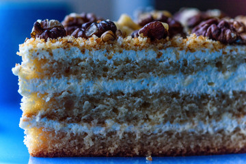 Walnut sponge cake slice photographed close-up on a turquoise plate, on wooden background.
