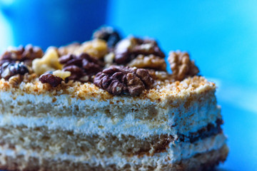 Walnut sponge cake slice photographed close-up on a turquoise plate, on wooden background.