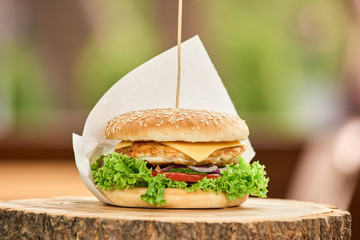 Perfect size hamburger on stick. Hamburger with chicken meat.