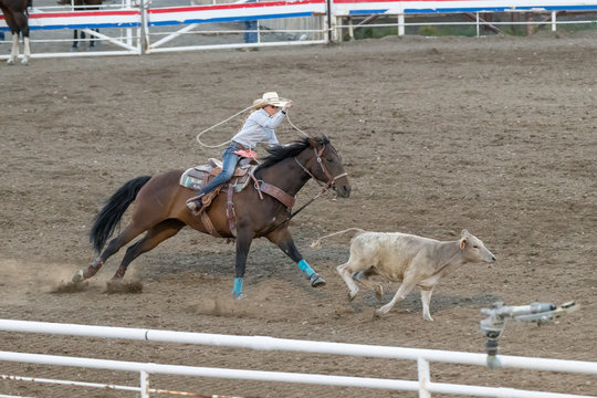 CODY, WYOMING - JUNE 29, 2018: Cody Stampede Park arena. Cody is the Rodeo Capitol of the World. 2018 marks 80th anniversary of nightly performances.