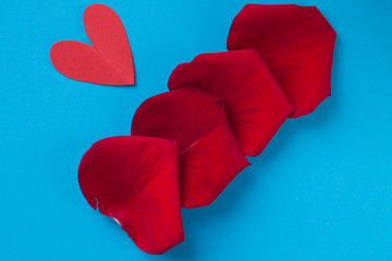 background for Valentine's day and eighth of March rose petals on blue background