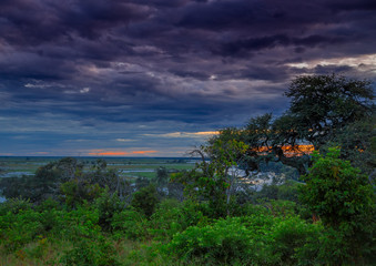 Landscape picture of the Chobe River at the Chobe National Park in Botsuana