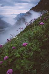 Fototapeta premium Morgennebel in den Alpen