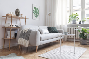 Stylish scandinavian interior with design sofa, poster, plants, bookstand, coffee table, cozy blanket and mock up frames. White background walls, brown wooden parquet and modern lamp. 