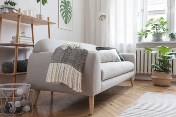 Stylish and minimalistic scandinavian interior with design sofa,tropicla plants, bookstand, coffee table, cozy blanket and carpet. White background walls, brown wooden parquet and modern lamp. 
