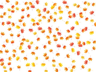 Maple leaves vector background, autumn foliage on white graphic design.