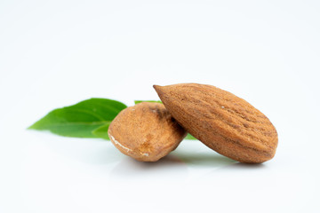 Almond and leaf on white background
