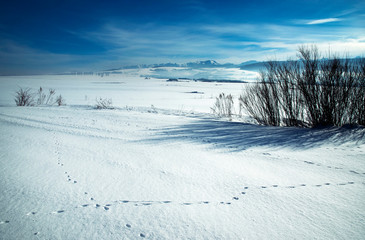 Fototapeta na wymiar snowy meadows on a mountain background