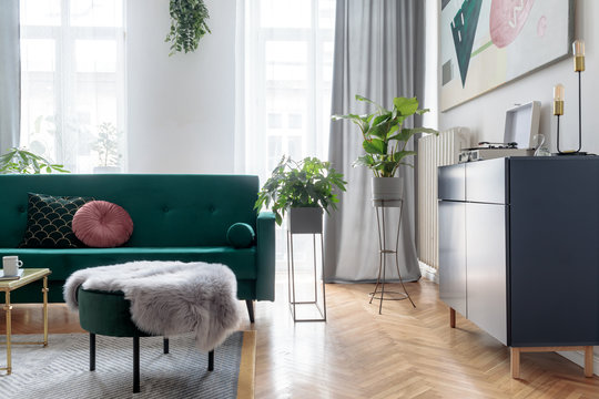Bright and sunny luxury home interior with design green velvet sofa, furniture, armchair, navy commode, pouf and accessroies.  Big windows. A lot of plants. Stylish decor of living room.