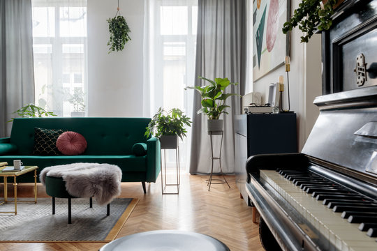 Bright and sunny luxury home interior with design green velvet sofa,  armchair, navy commode, pouf and accessroies. Big windows. A lot of plants. Stylish decor of living room. View from the piano.