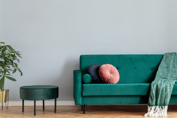 Minimalistic home interior with green velvet design sofa and pouf, tropical plant  and elegant...