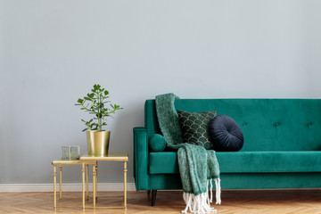 Stylish home interior with green velvet design sofa, gold coffee table, plant  and elegant blanket...