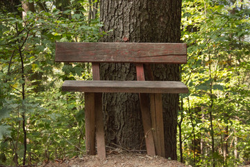 WOODEN BENCH in the woods , Corlateni, Pojorata, Suceava , Romania
