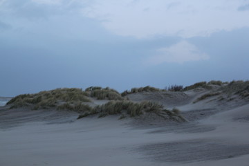 Fototapeta na wymiar Dunes at the coast of the North Sea