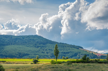 Paysage de Lozère,Occitanie.