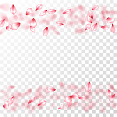 Japanese cherry petals on transparent background.