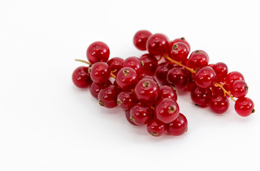 fresh currant on a white background