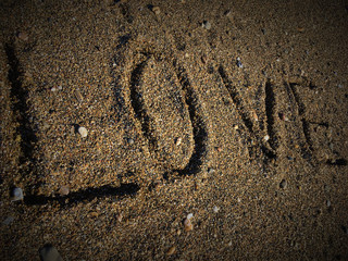 Happy Valentine's Day