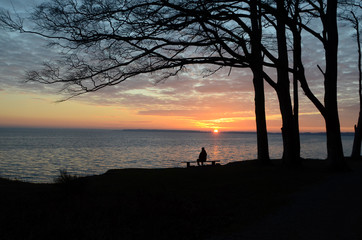 Landscape with silhouette of a person sitting on a bench, sunset and altocumulus clouds over the sea..