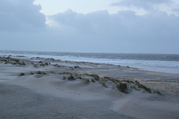 Dunes at the coast of the North Sea