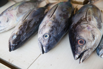 Tuna fish on the counter.