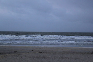 Dunes at the coast of the North Sea