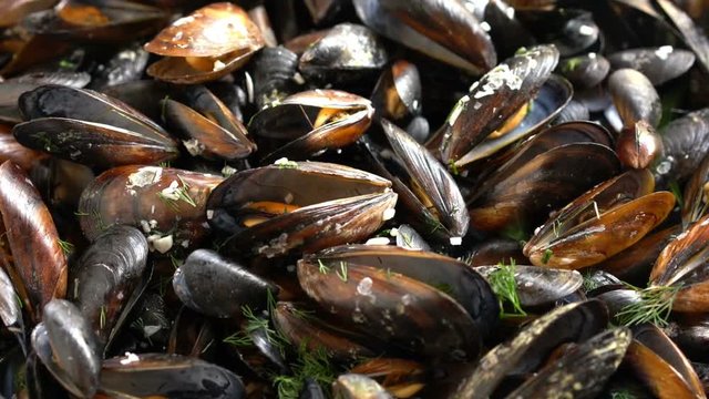 Sea mussels cooked with herbs and garlic rotating video background, being sprinkled with dill
