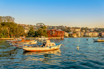 Fototapeta na wymiar Istanbul, Turkey, 17 April 2009: Bosphorus Mansions and Boats, Cengelkoy