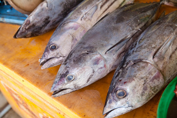 Tuna fish on the counter.