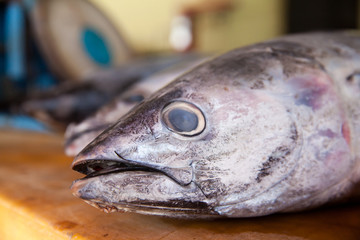 Head of fresh tuna close-up.