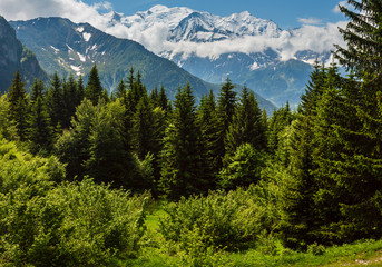 Mont Blanc mountain massif (view from Plaine Joux outskirts)