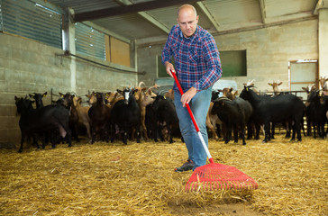 Male farmer holding agricultural tool