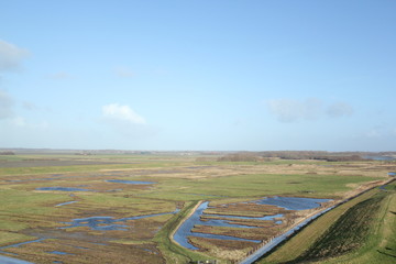 View from tower 