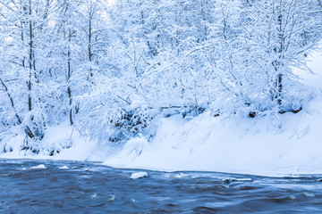 The landscape of the small river or the brook in the beautiful winter forest or in the park among the trees under the snow, ice and hoar