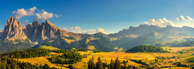 Fotobehang Alpe di Siusi of Seiser Alm en Sassolungo berg, Dolomieten Alpen, Italië. © stevanzz