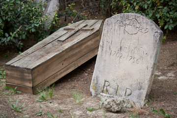 Wood and stone carvings on the ground covered