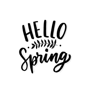 Hand drawn lettering hello spring for print, card, banner. Typography hello spring with leafs.