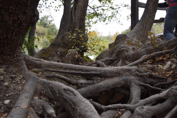 National park Krka in Croatia