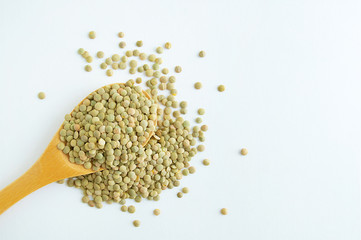 Lentils green on a wooden spoon and scattering. White background.