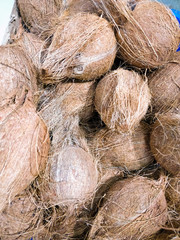 Raw coconuts for sale in the vendor shop
