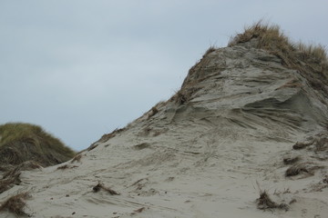 Dunes at the coast of the North Sea