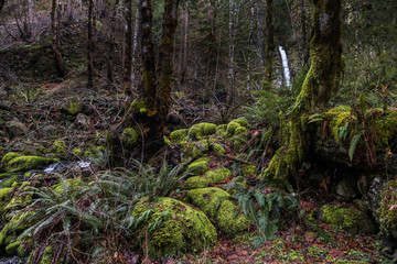 Dry Creek Falls, Columbia River Gorge, Oregon